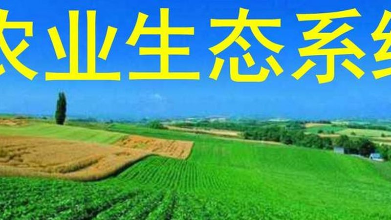 合作社注销与公司区别：农民如何选择合适的企业形态