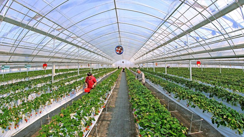 农业种植设备：普通设备的升级进化**