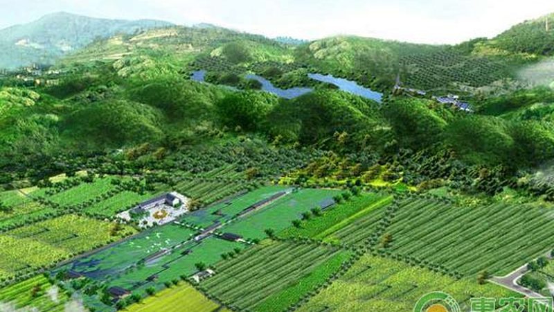 水果种植合作社年收入受天气影响大吗