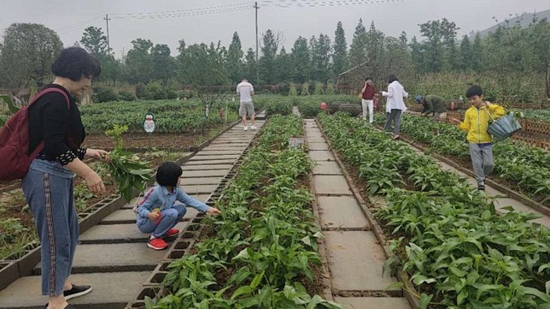 有机肥生产设备：规格型号背后的技术奥秘