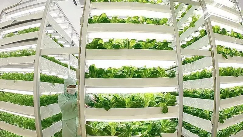 合作社章程范本：构建规范运营的基石