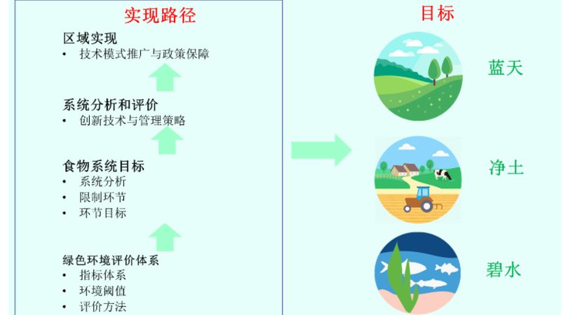 绿色食品选购指南：如何识别真伪，保障餐桌安全**