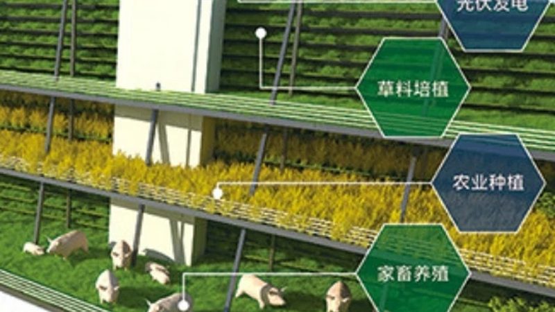 工厂食堂食材配送公司