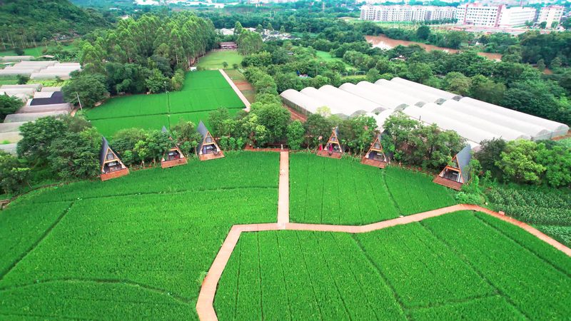 农民专业合作社注销股东会决议：流程与要点解析