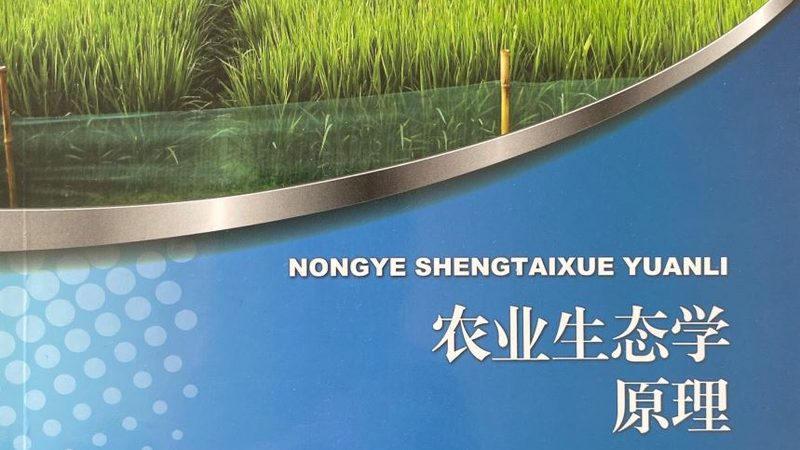 合作社代账服务，成本核算的全面解析