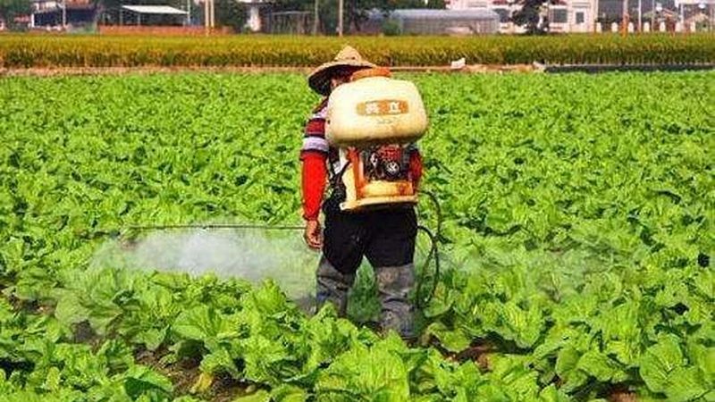 农业创业项目加盟，费用构成解析**
