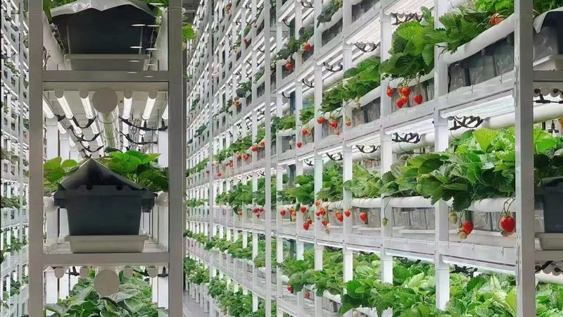 农资批发商资质，那些你不可不知的“硬指标”**