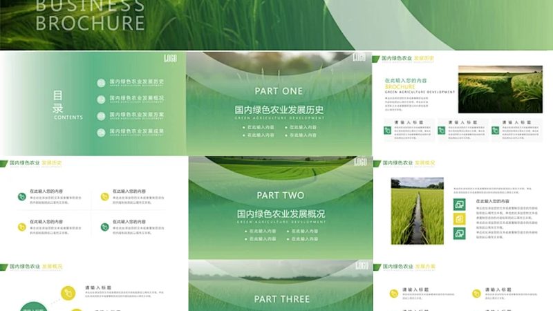 蓝莓水肥一体化：PH值控制的奥秘与标准